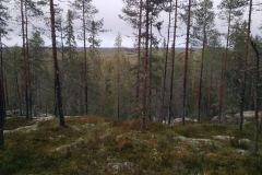 nakymaa_alkkianvuorelta